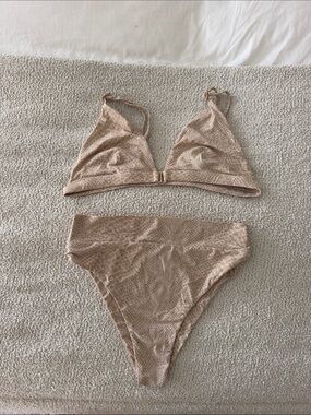 Acacia bikini